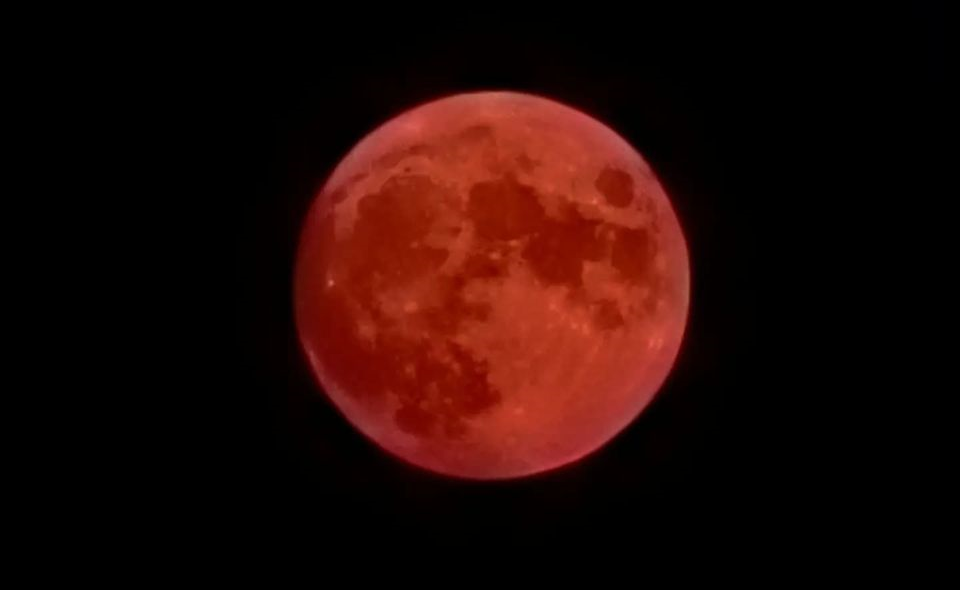 Becky Neilsen - Harvest Moon